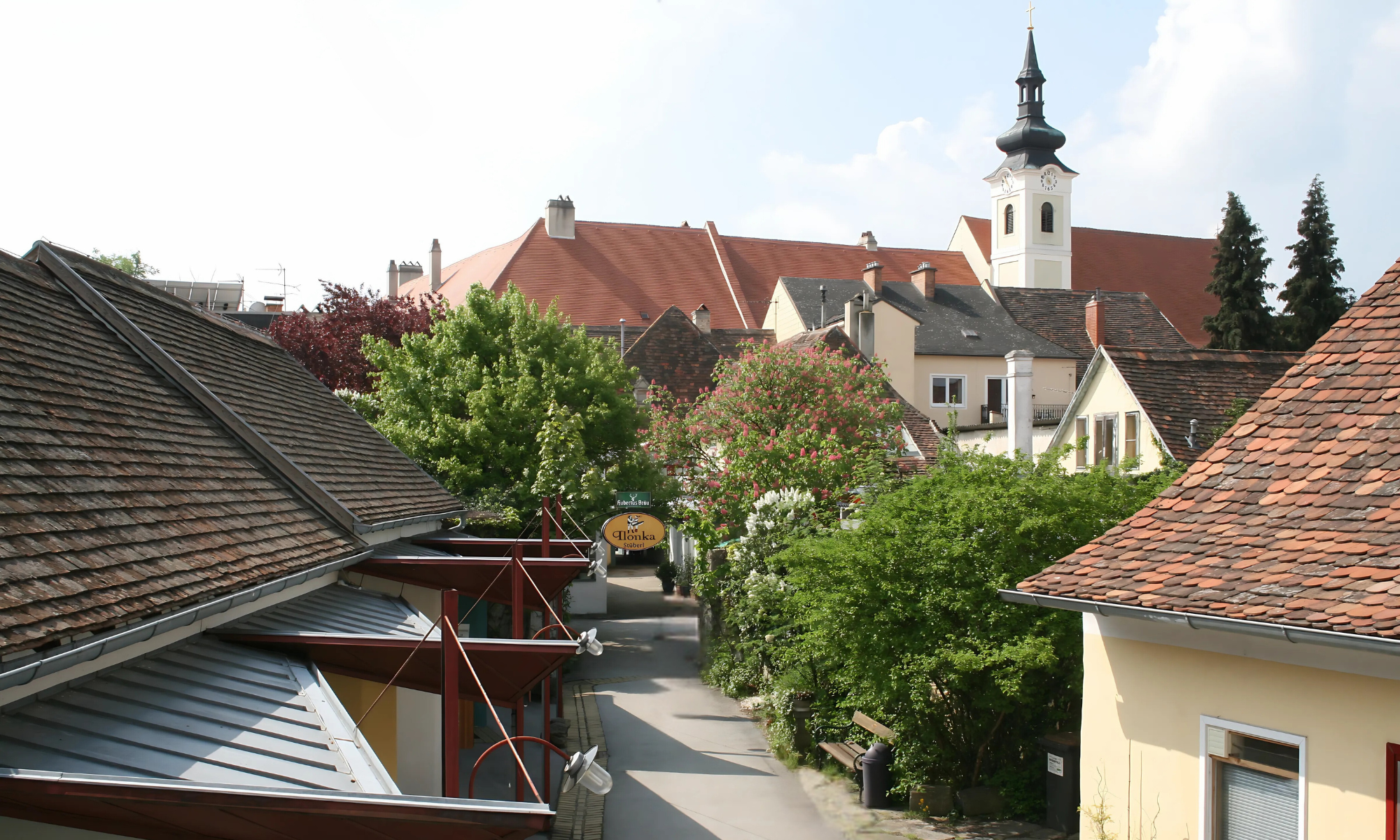 PP Header (2000 x 1200 px)